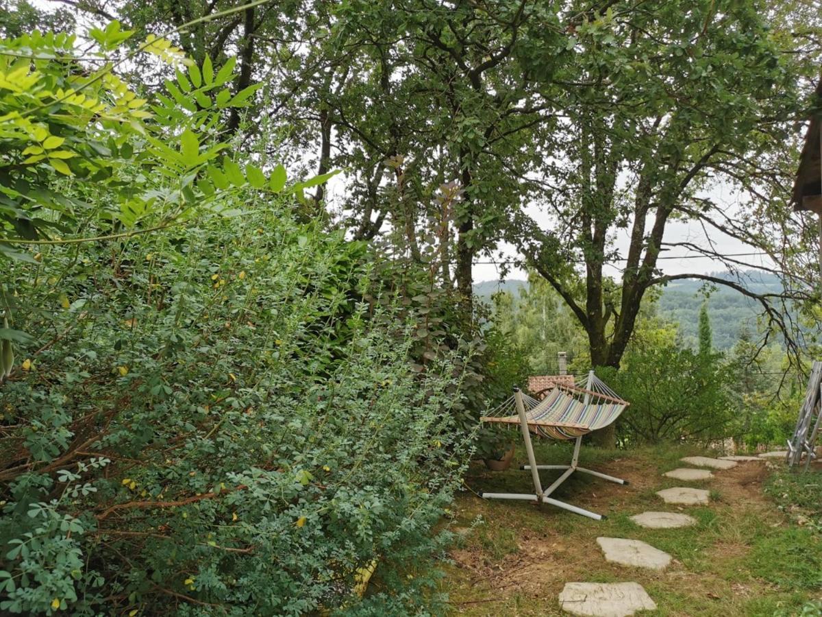 Chambre Chez L'Habitant A La Campagne Sidobre 布尔拉茨 外观 照片